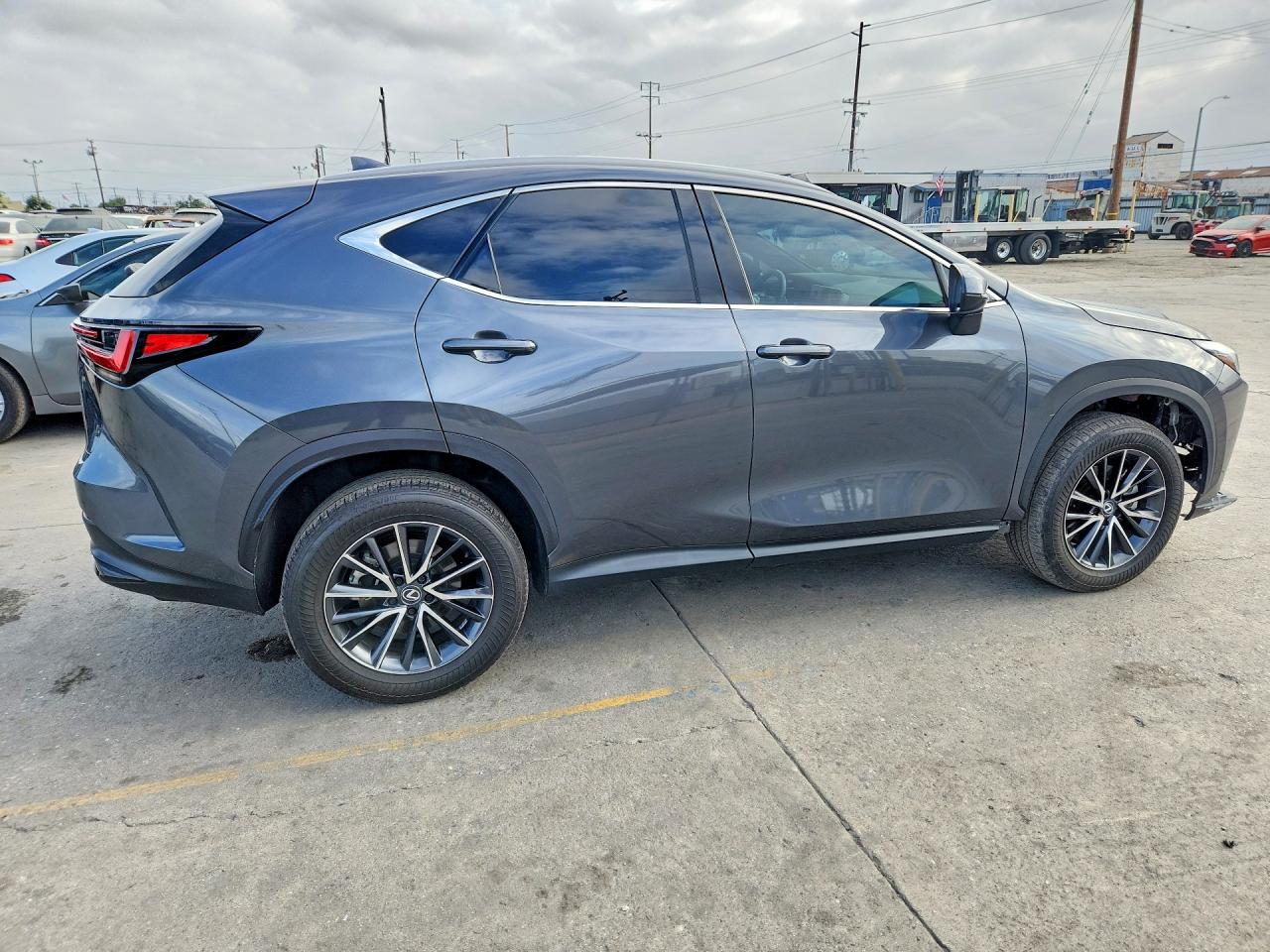 2024 LEXUS NX