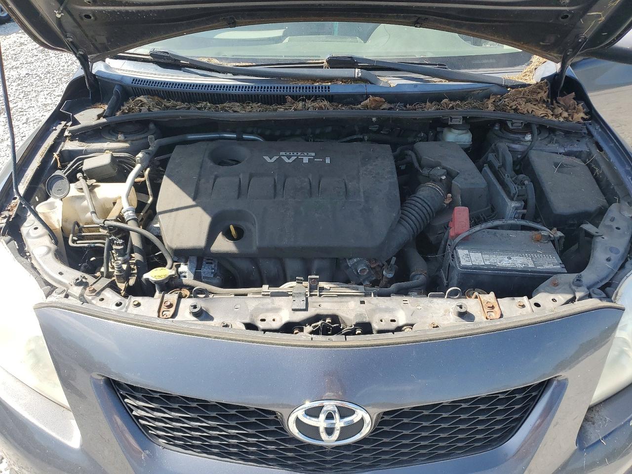 2010 TOYOTA COROLLA