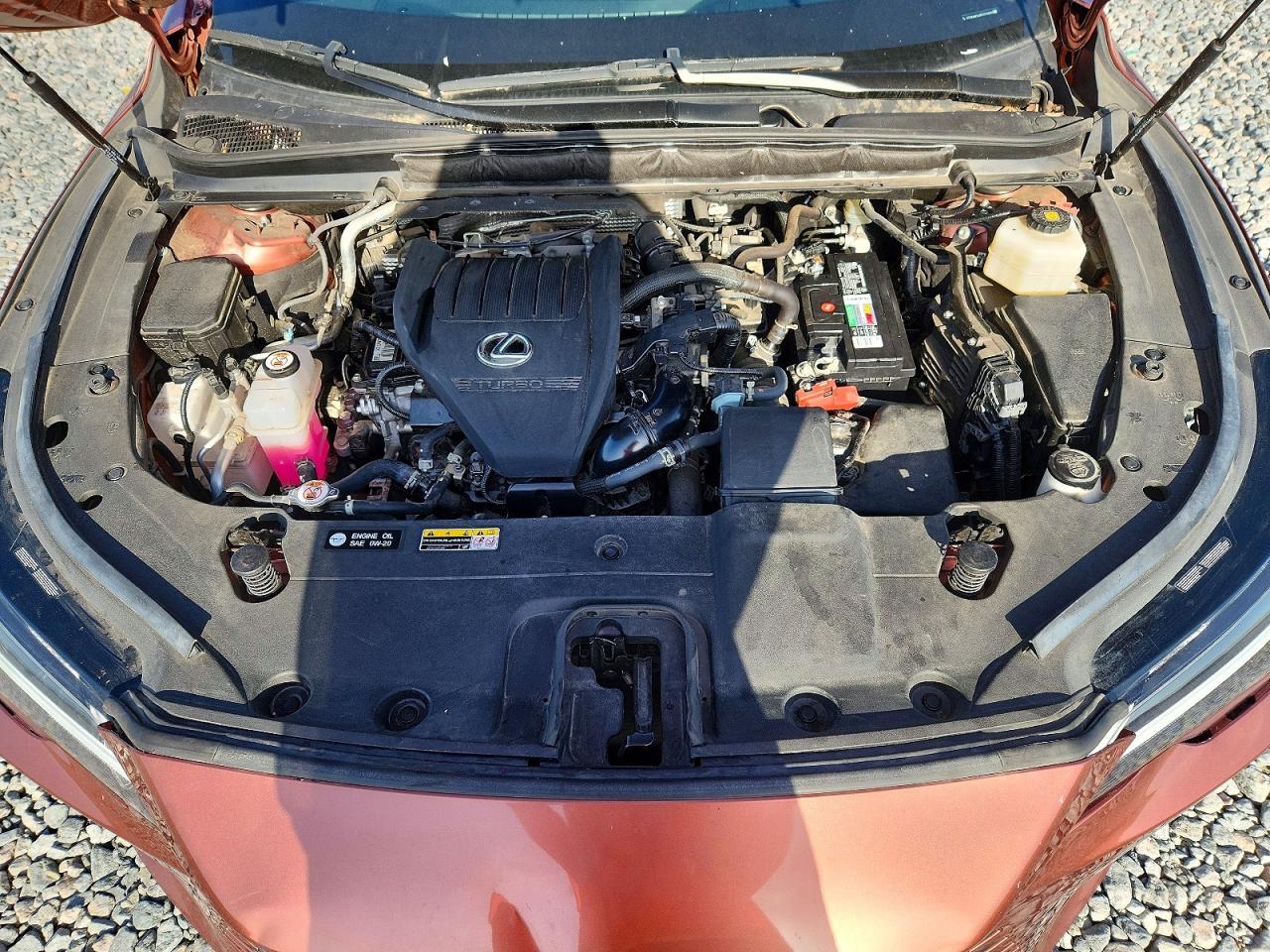 2023 LEXUS RX350