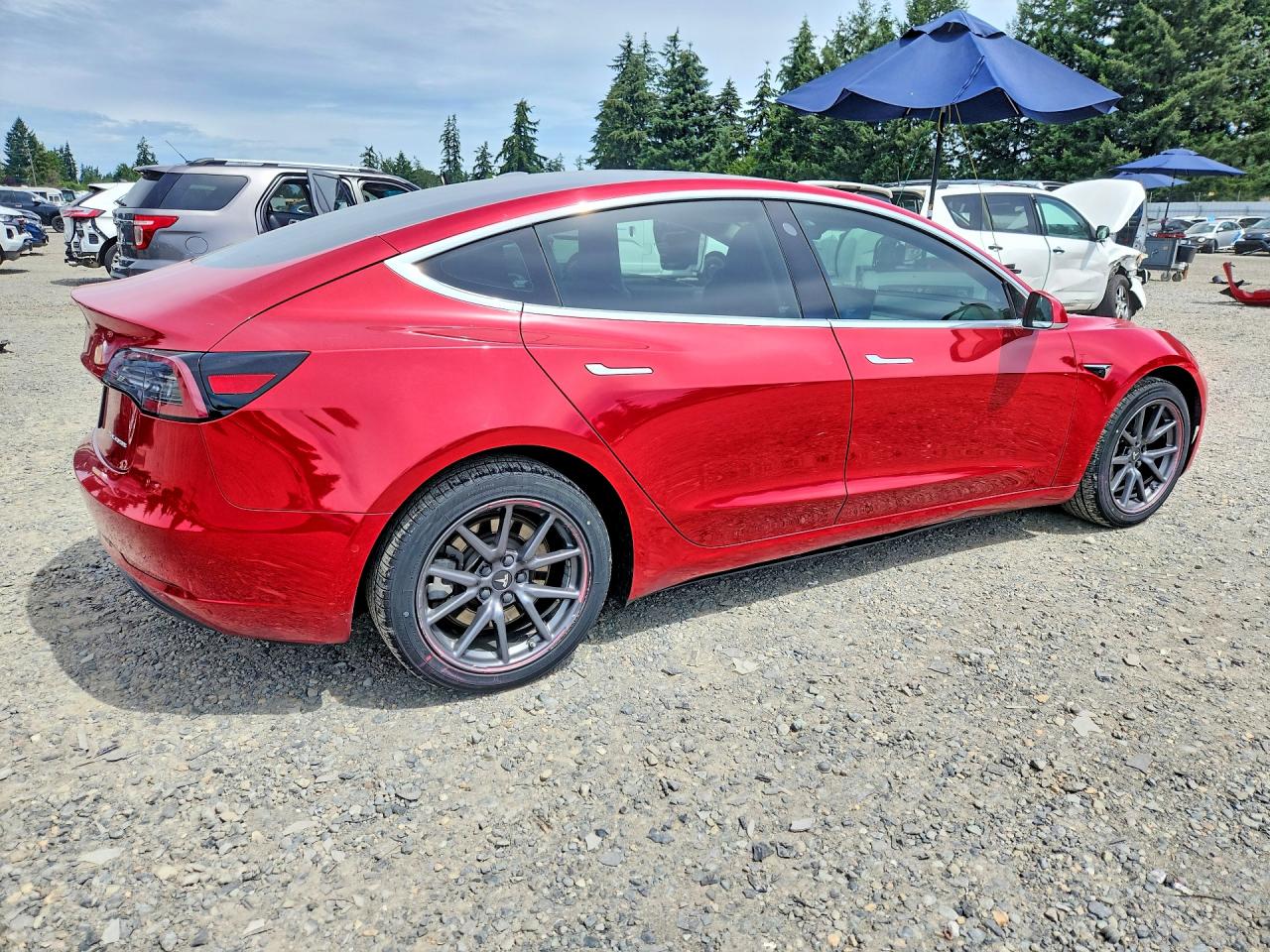 2019 TESLA MODEL 3
