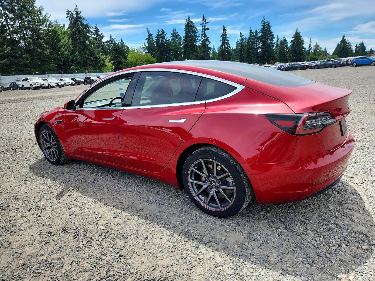 2019 TESLA MODEL 3