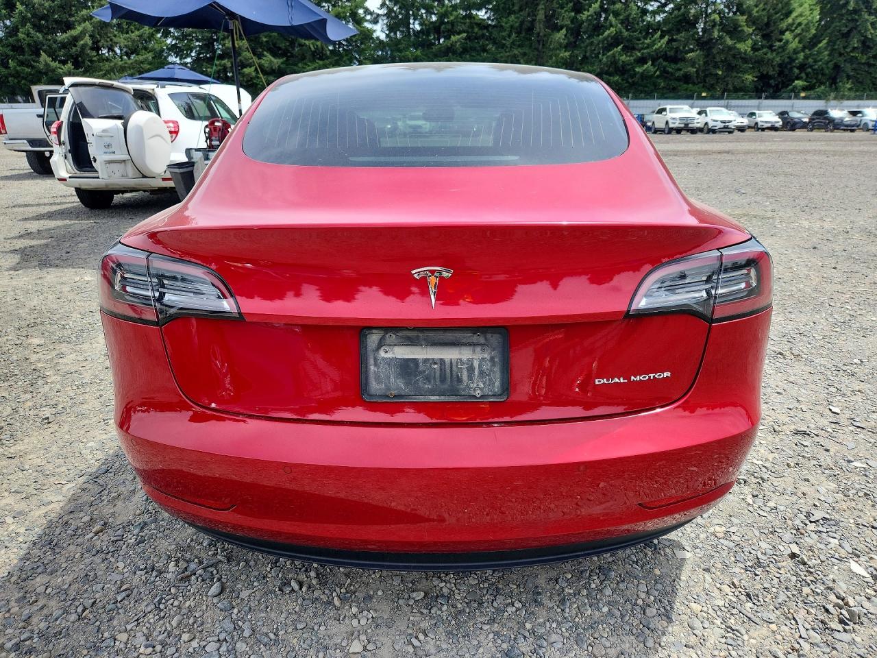 2019 TESLA MODEL 3