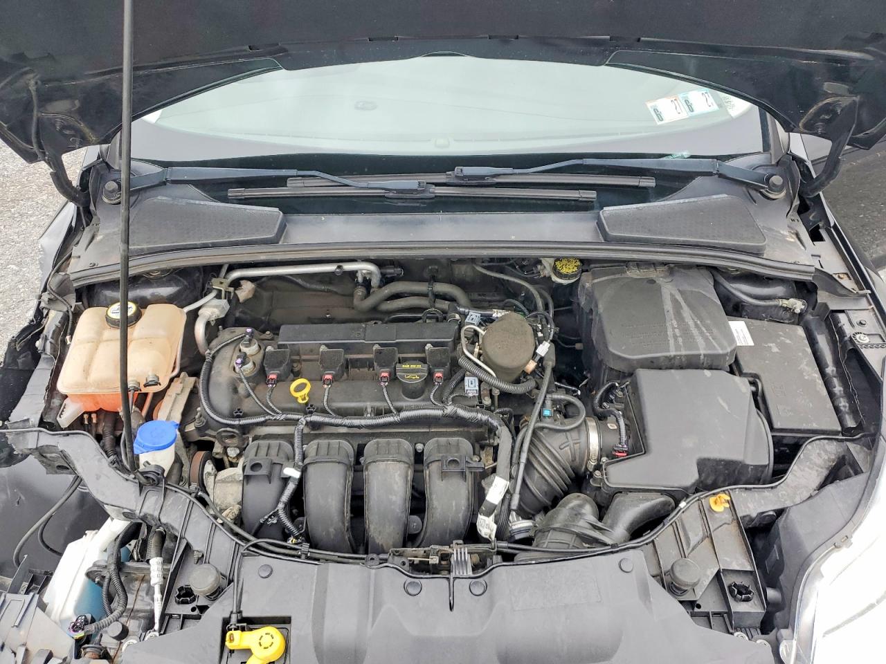 2013 FORD FOCUS