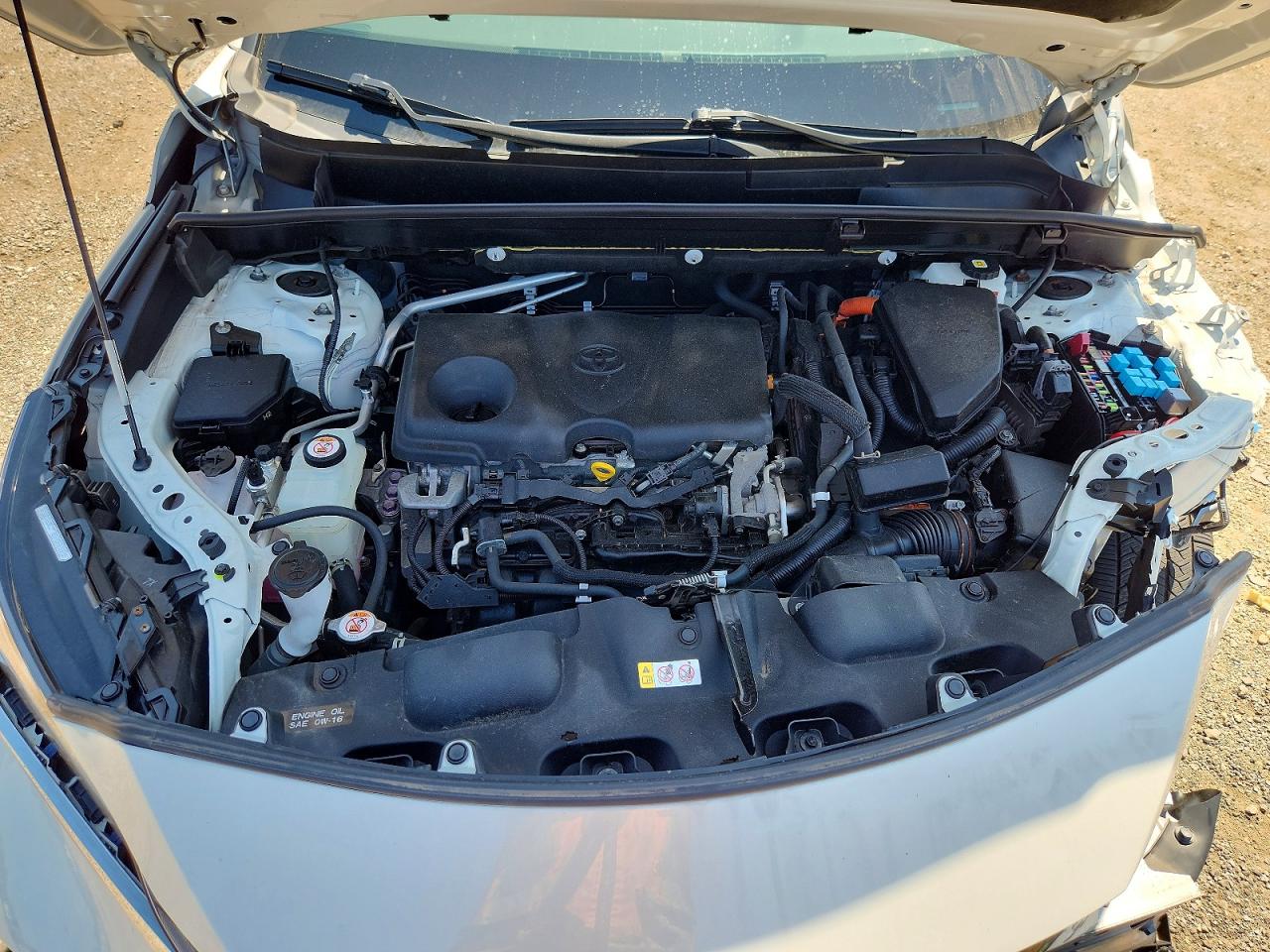 2021 TOYOTA VENZA