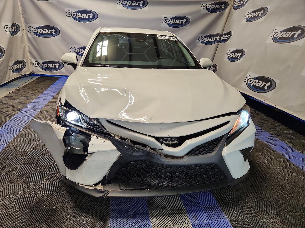 2019 TOYOTA CAMRY