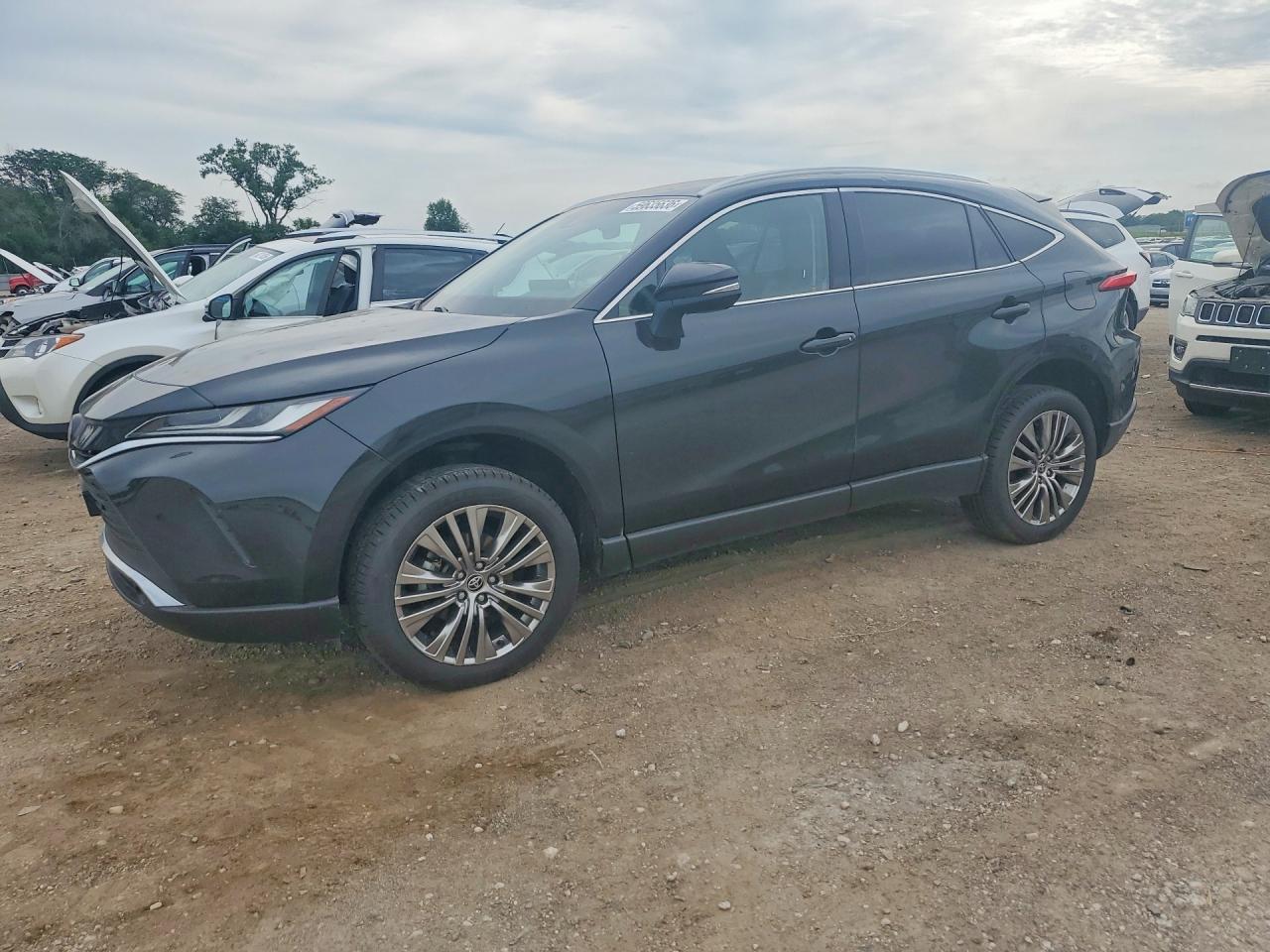 2023 TOYOTA VENZA