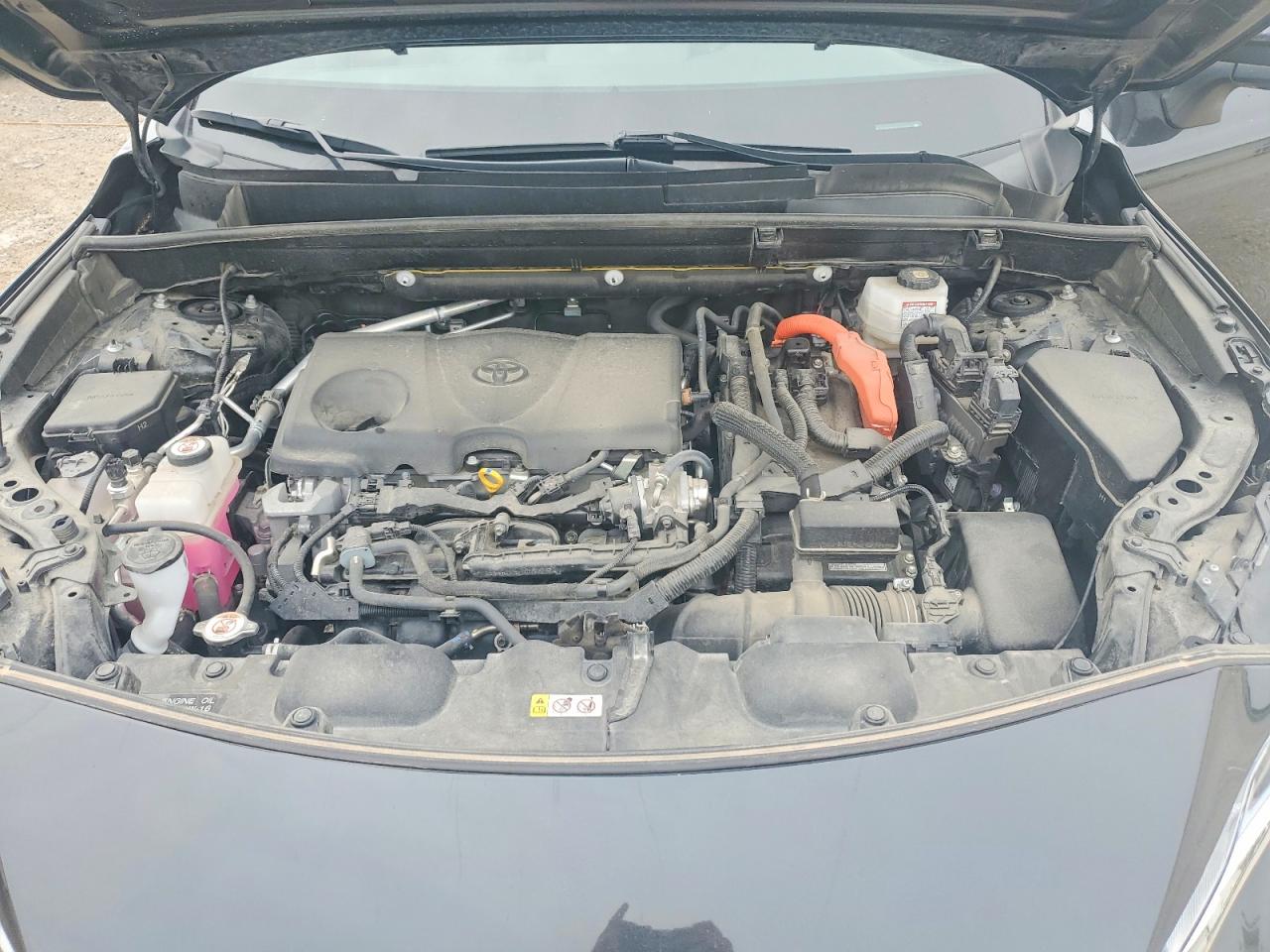 2023 TOYOTA VENZA