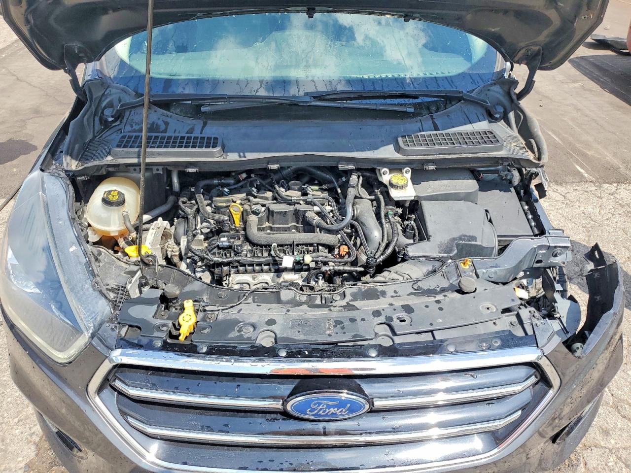 2019 FORD ESCAPE