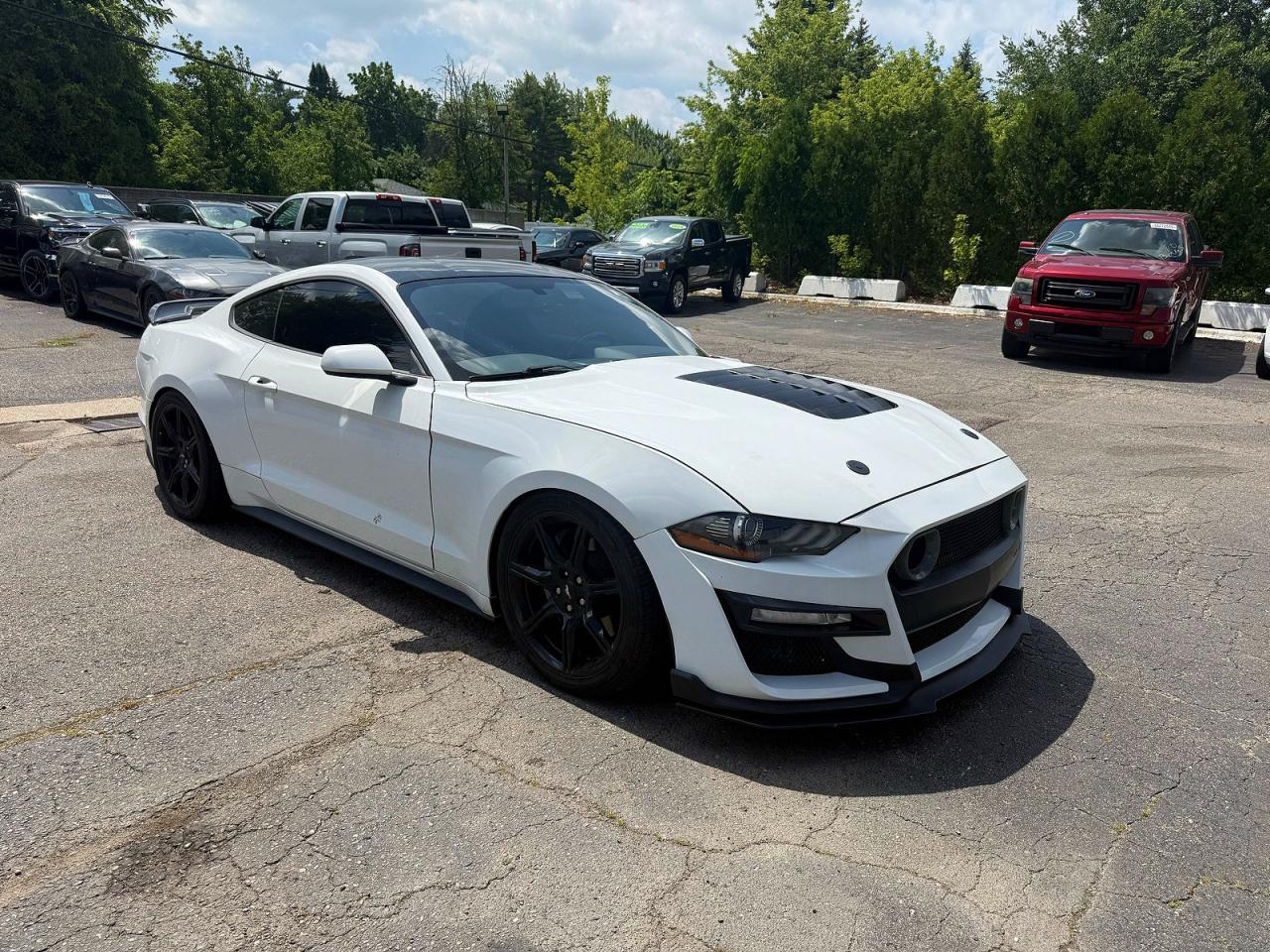2019 FORD MUSTANG