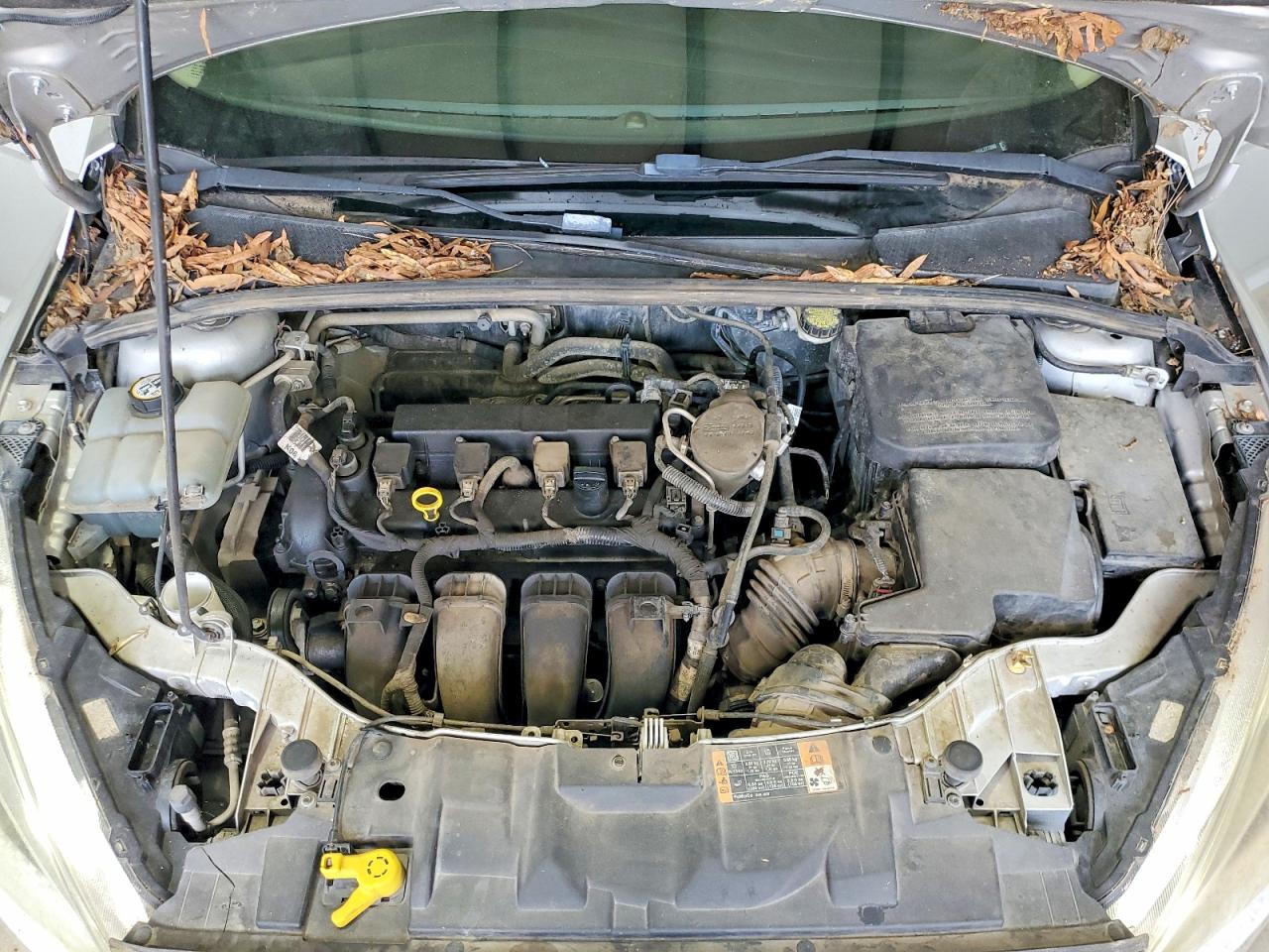 2016 FORD FOCUS