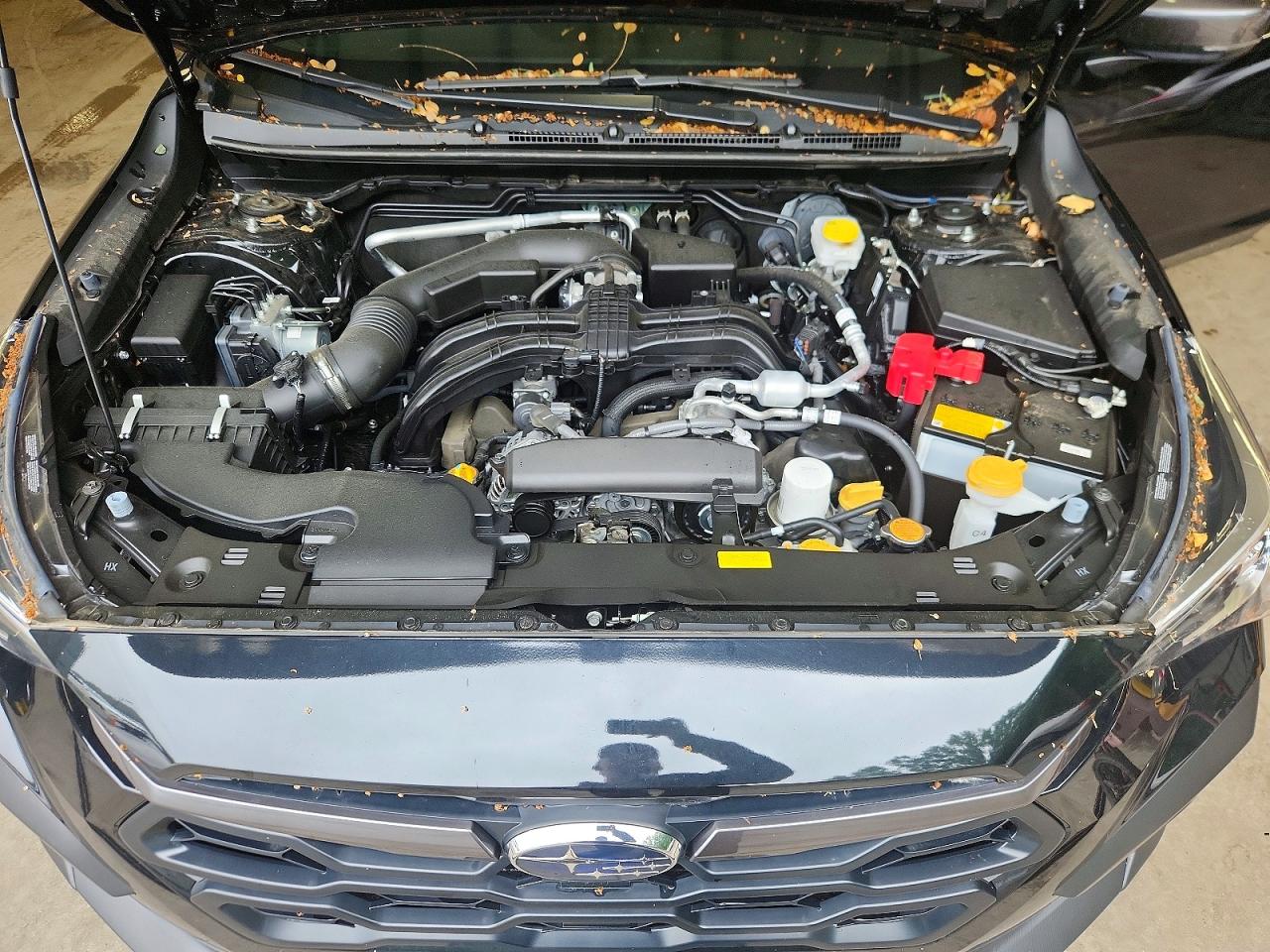 2025 SUBARU CROSSTREK