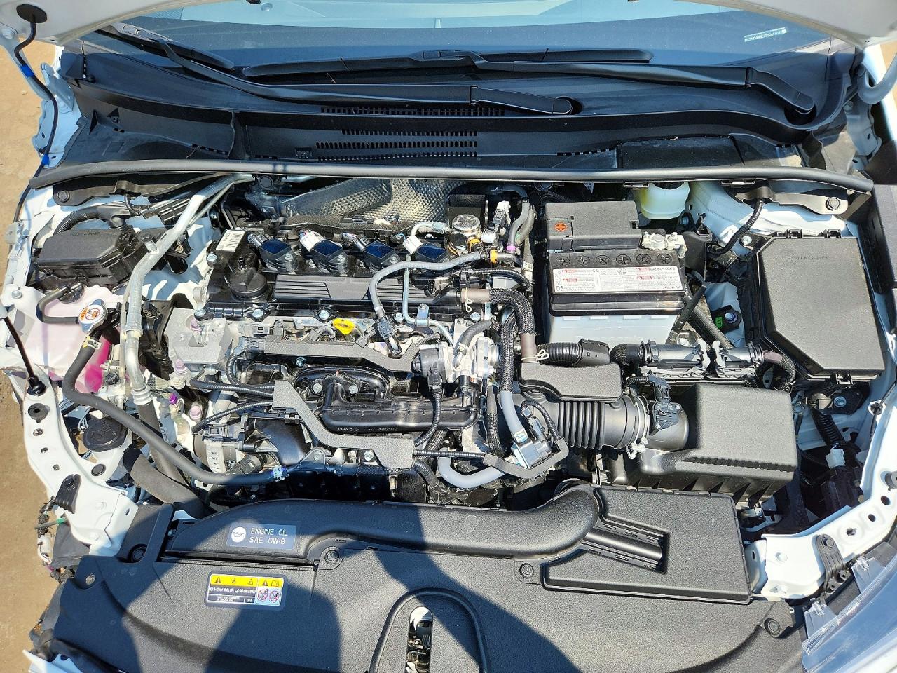 2026 TOYOTA COROLLA