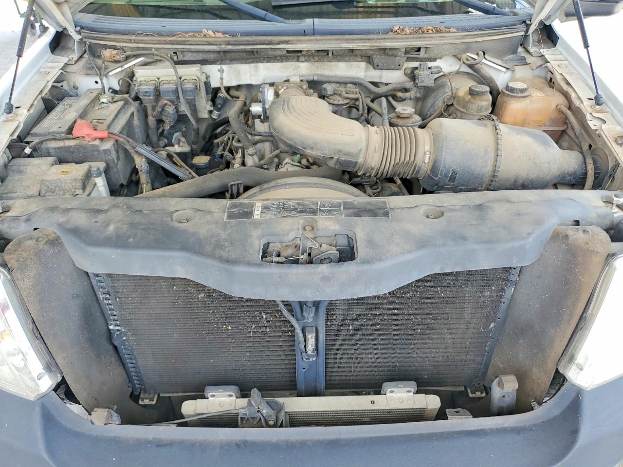 2006 FORD All Models