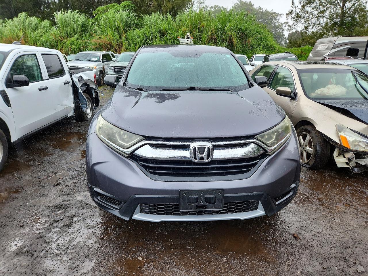 2017 HONDA CRV