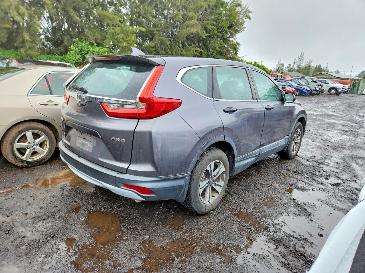 2017 HONDA CRV