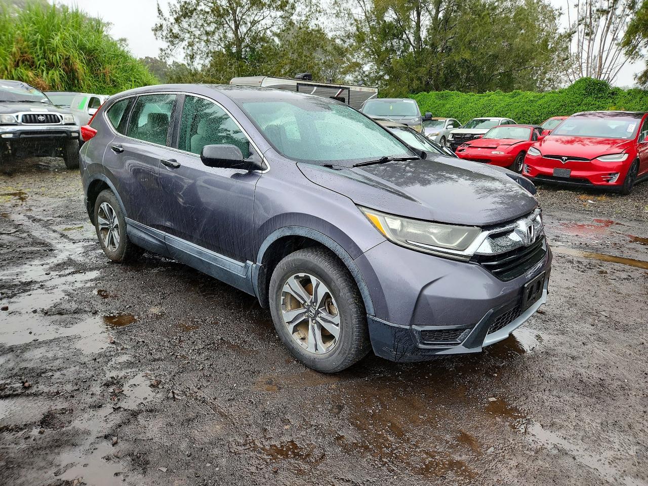 2017 HONDA CRV