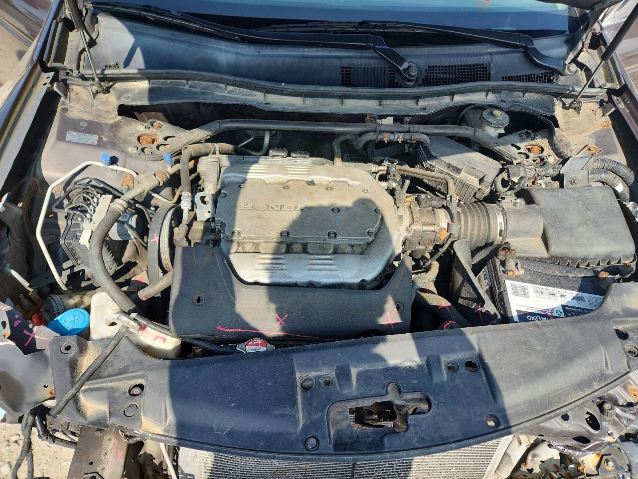2011 HONDA ACCORD