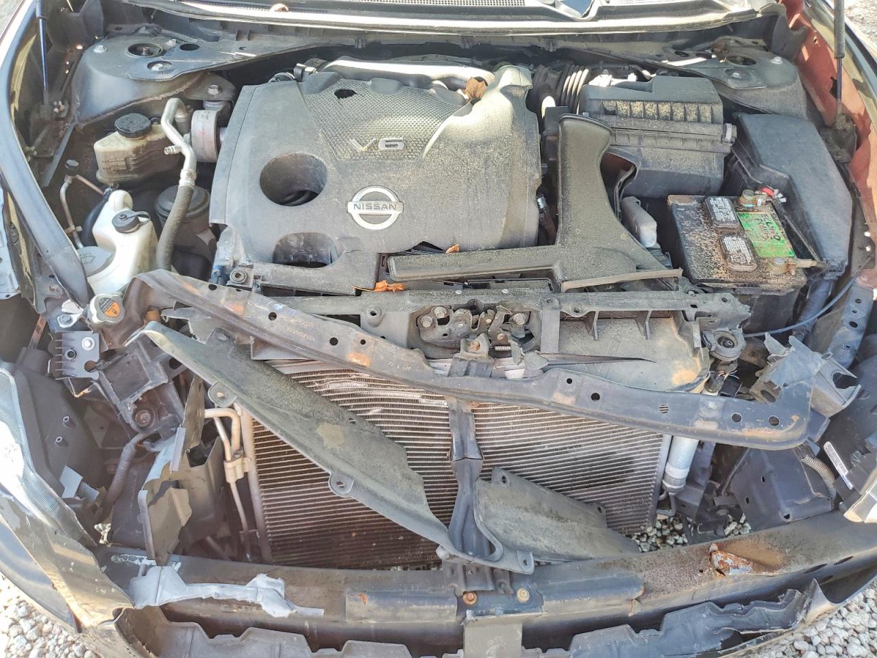 2010 NISSAN MAXIMA