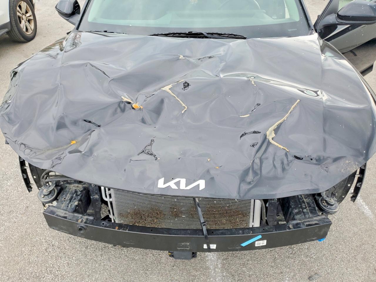 2025 KIA ALL OTHER