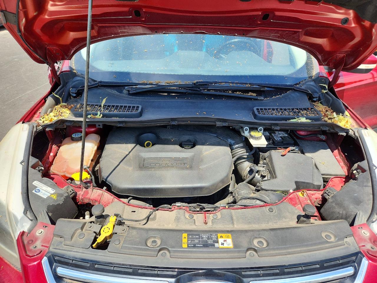 2013 FORD ESCAPE