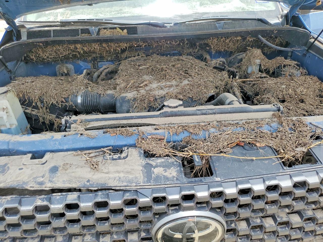 2020 TOYOTA TUNDRA