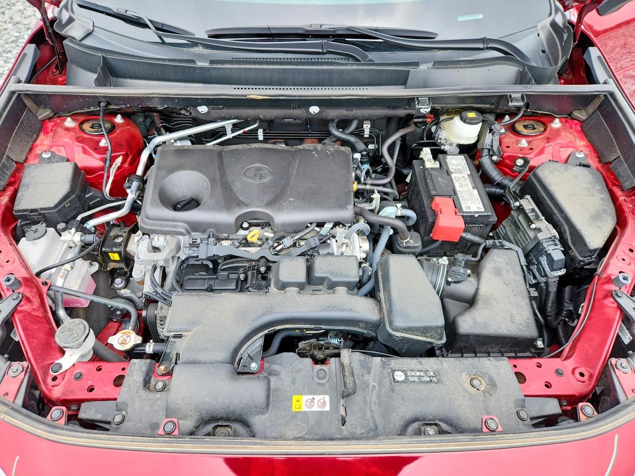 2024 TOYOTA RAV4
