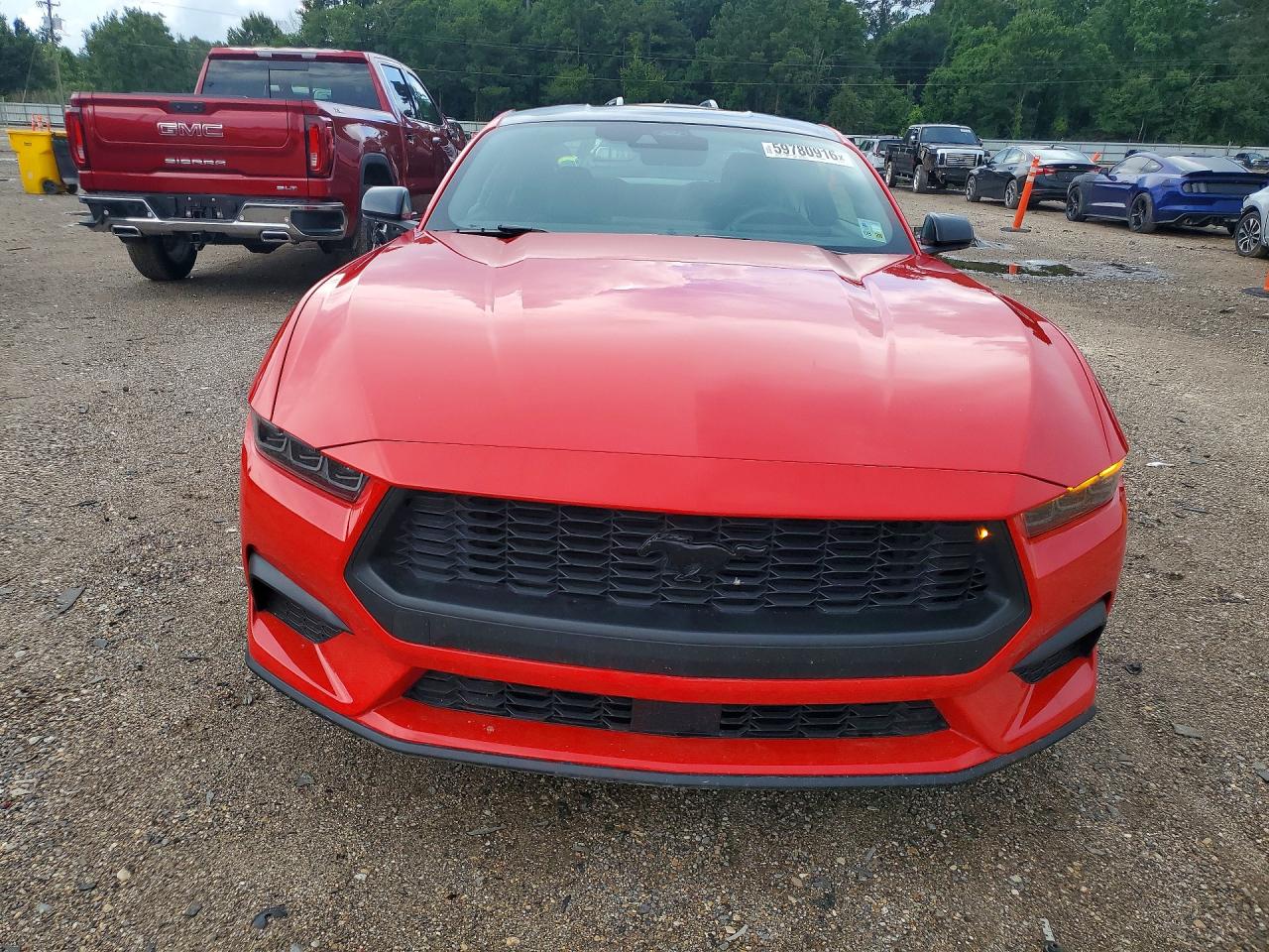 2025 FORD MUSTANG
