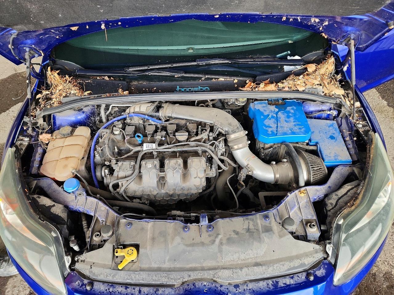 2014 FORD FOCUS