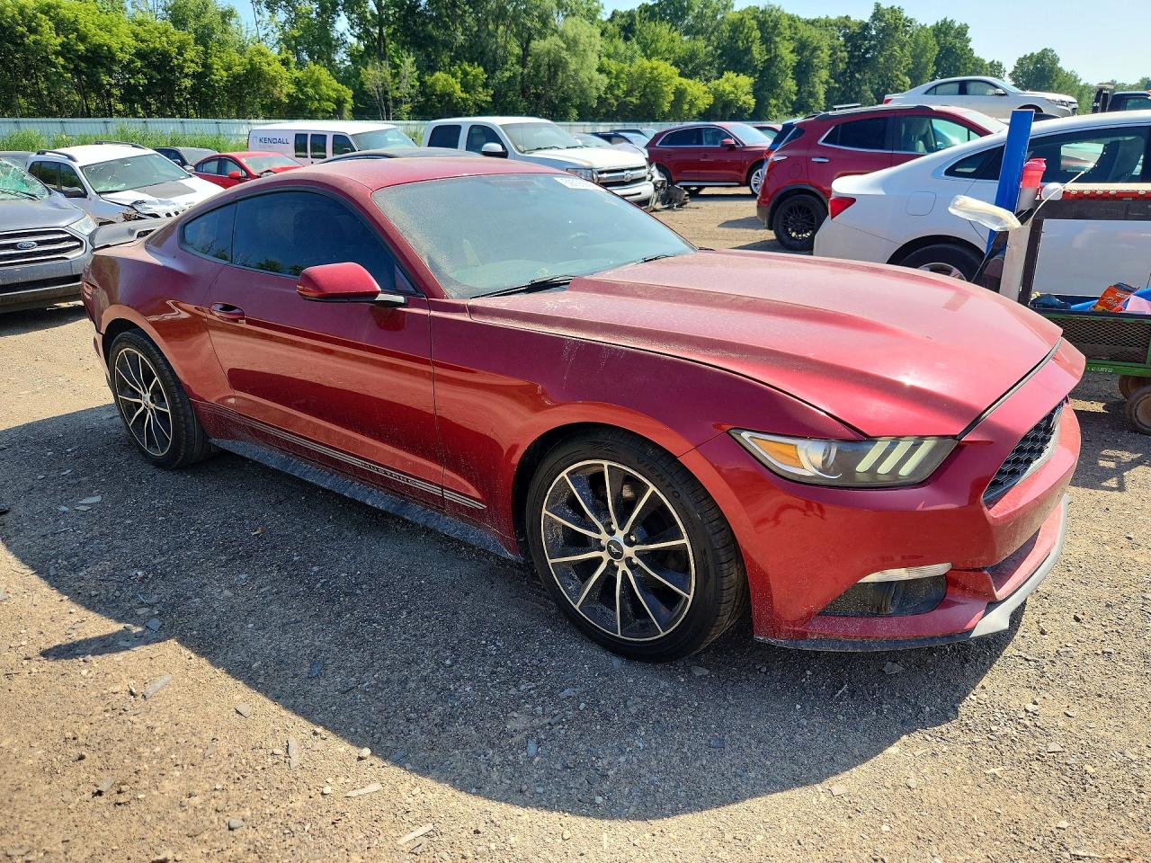 2015 FORD ALL Models