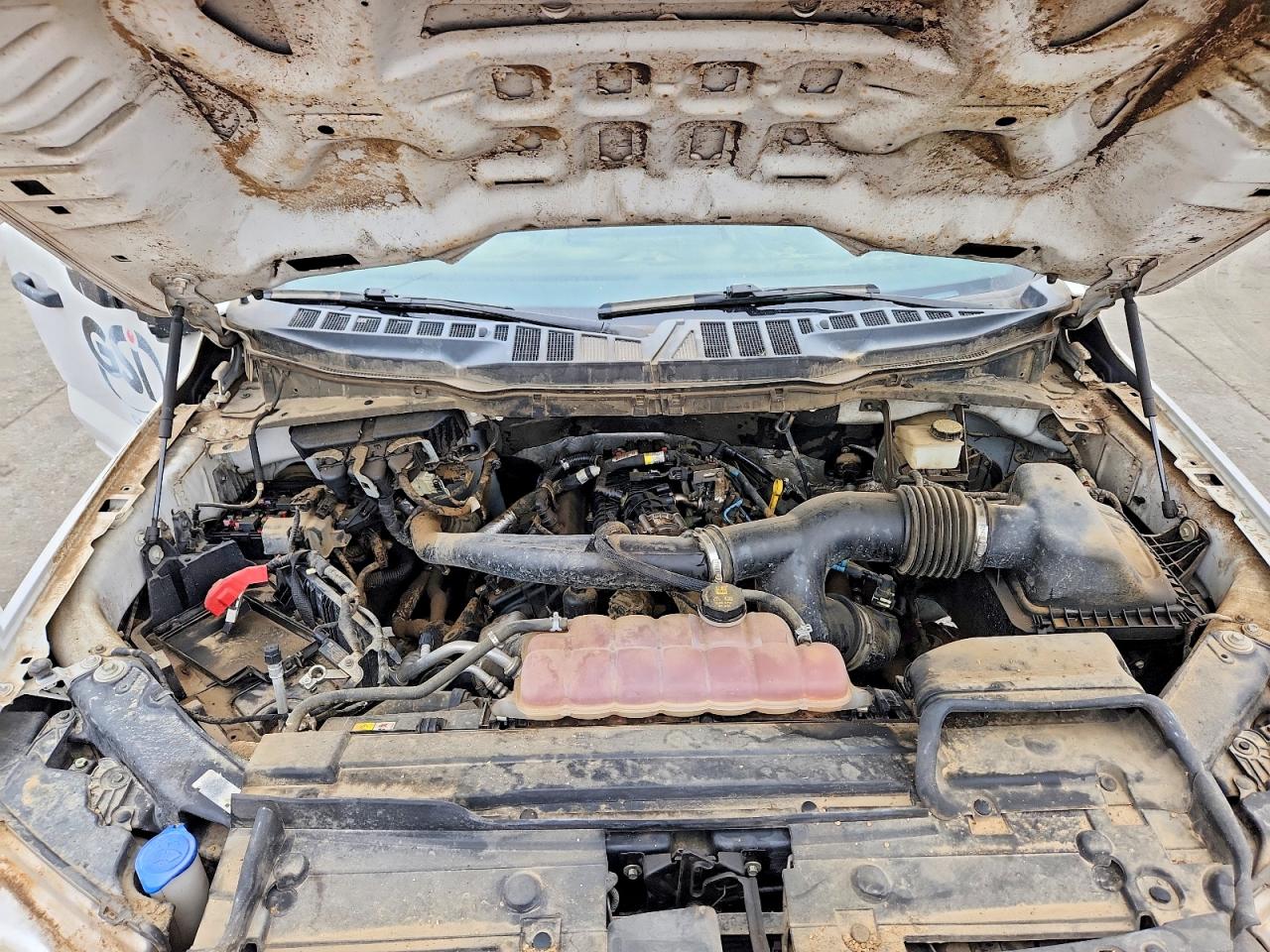 2021 FORD F150