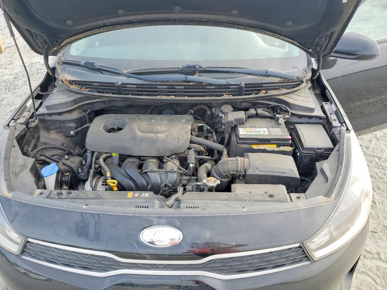 2019 KIA RIO