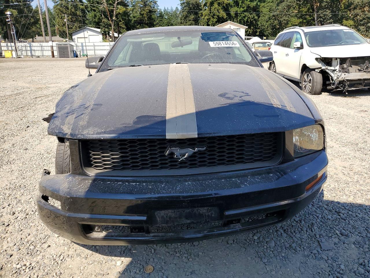 2005 FORD MUSTANG