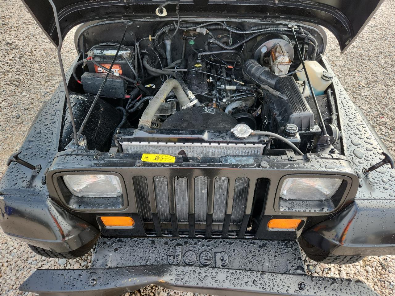 1993 JEEP WRANGLER