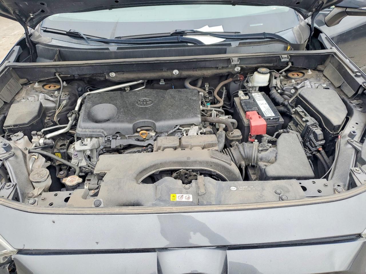 2019 TOYOTA RAV4
