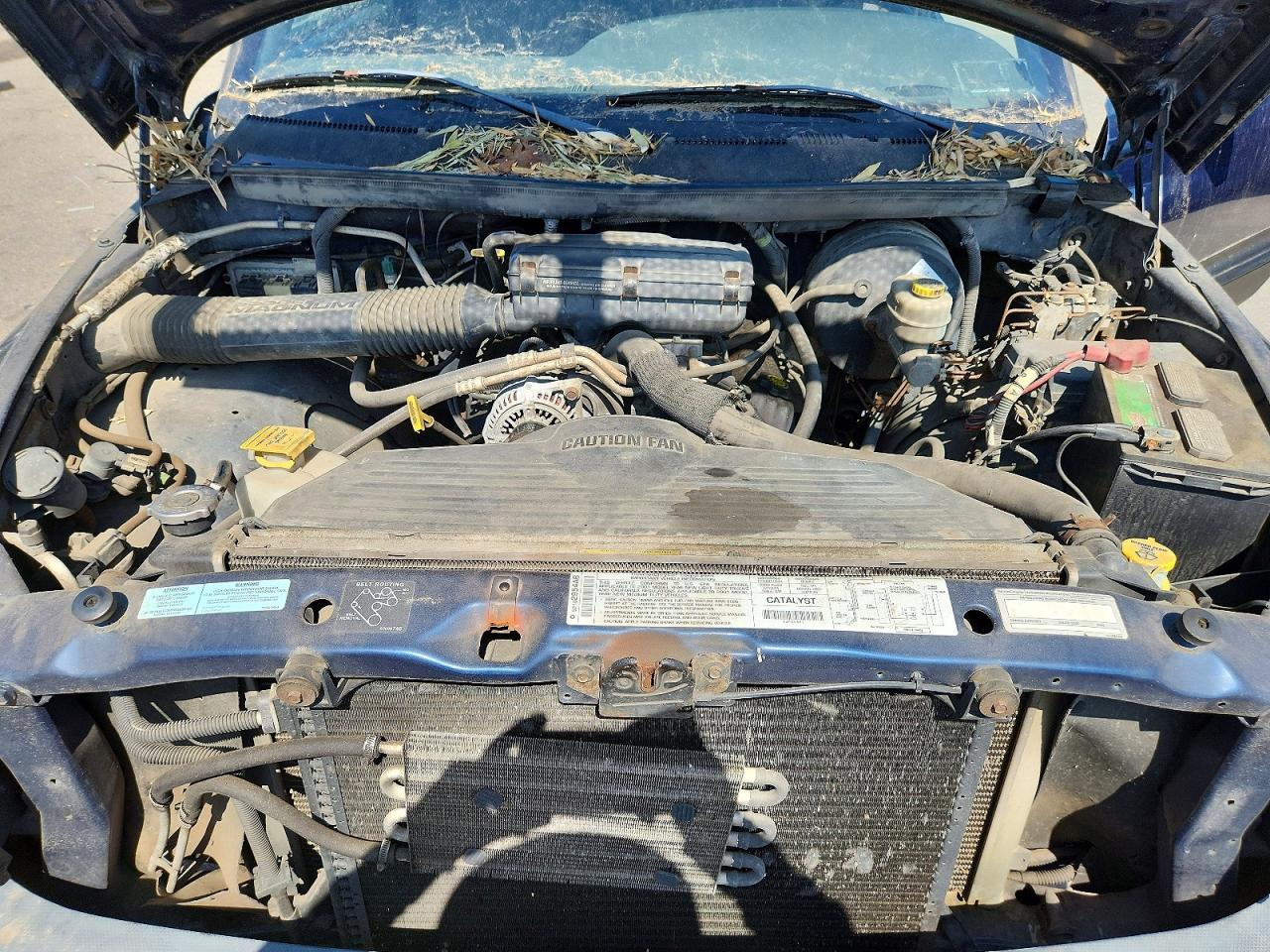 2001 DODGE All Models