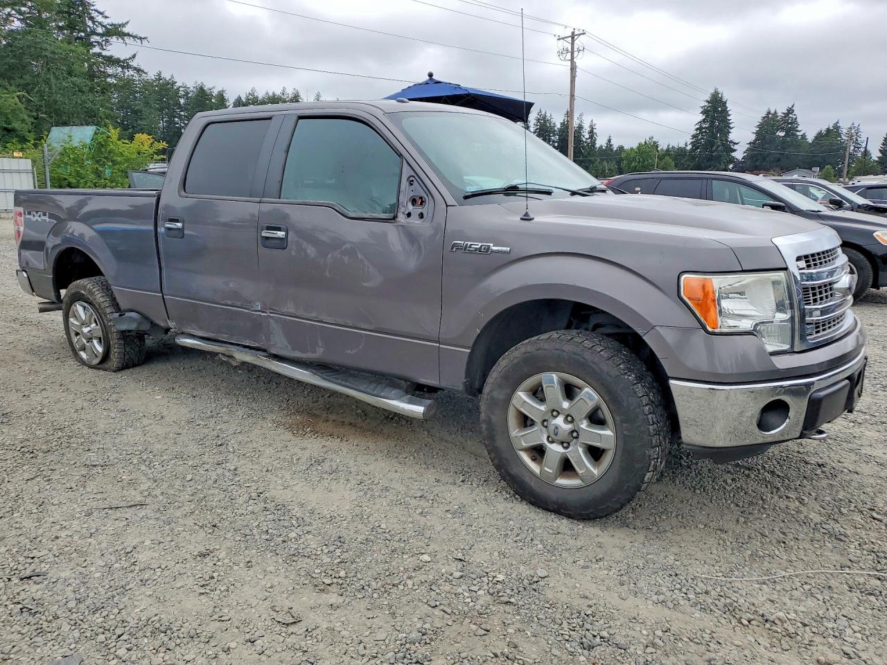 2013 FORD F150
