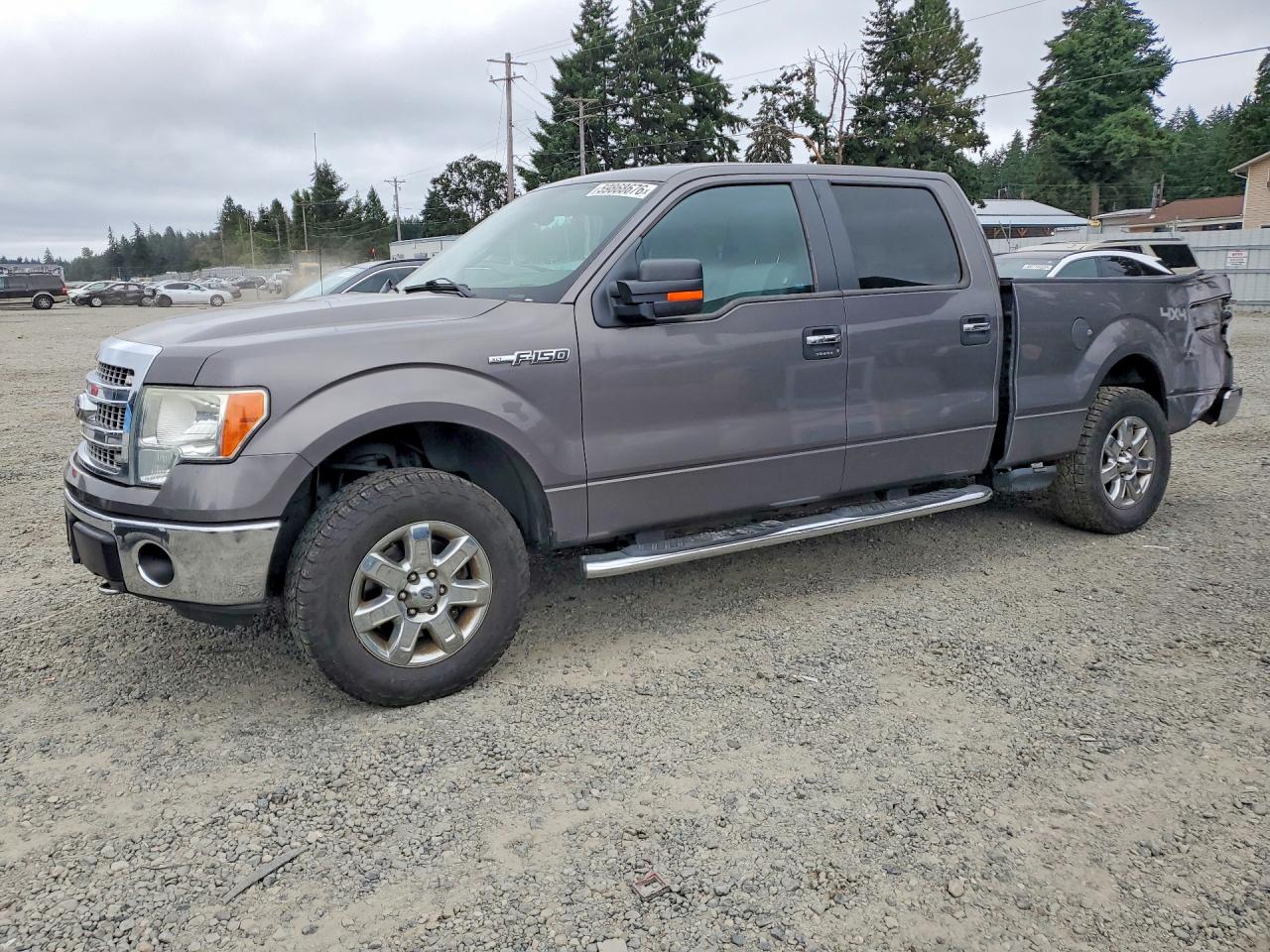2013 FORD F150