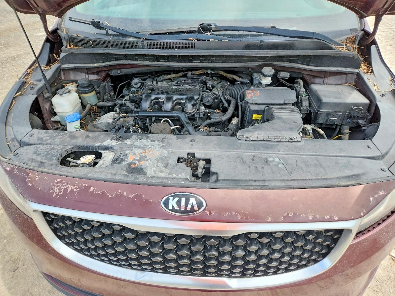 2017 KIA All Models