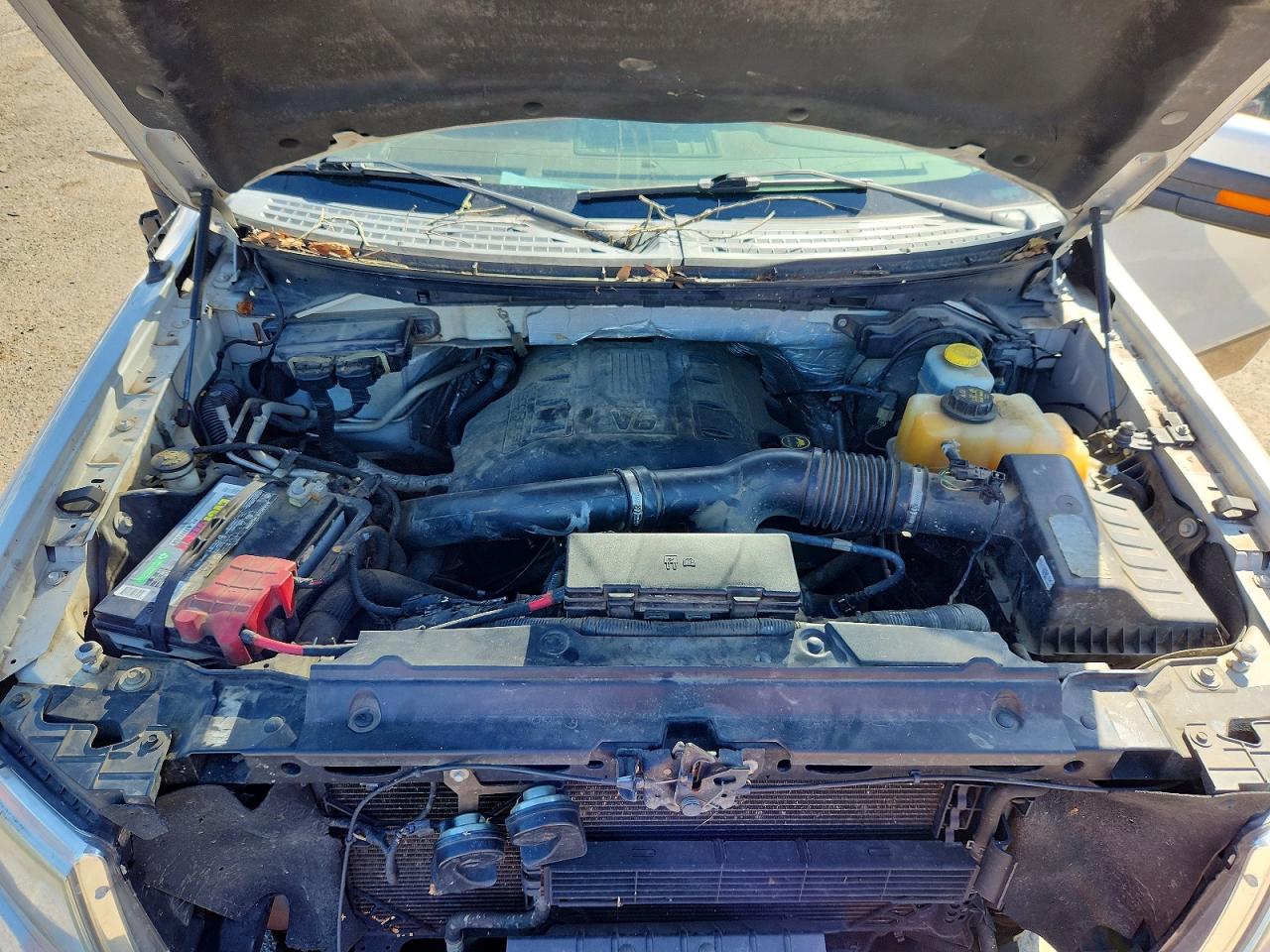 2014 FORD F150