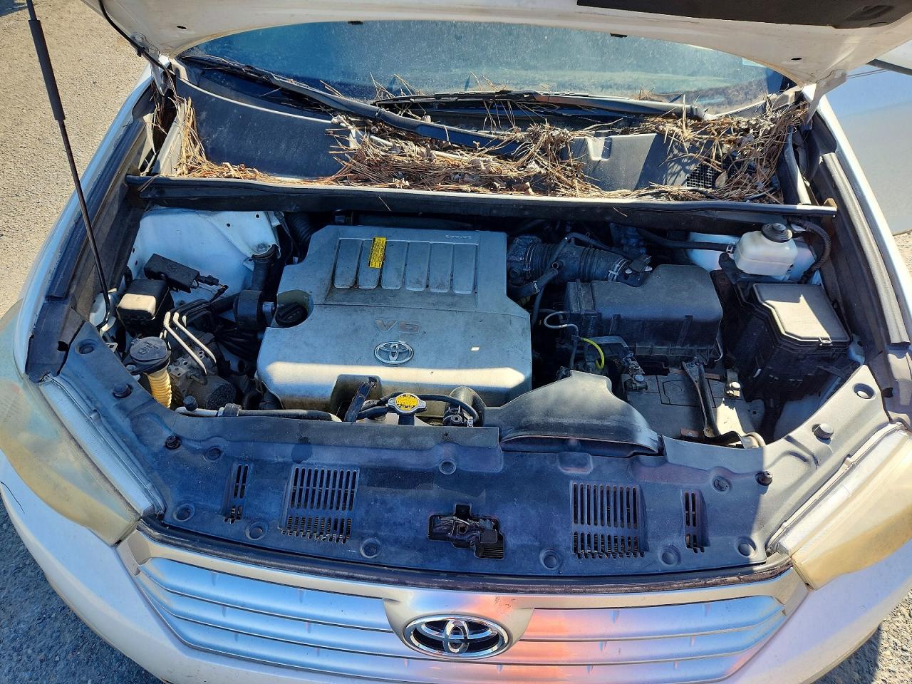 2011 TOYOTA HIGHLANDER