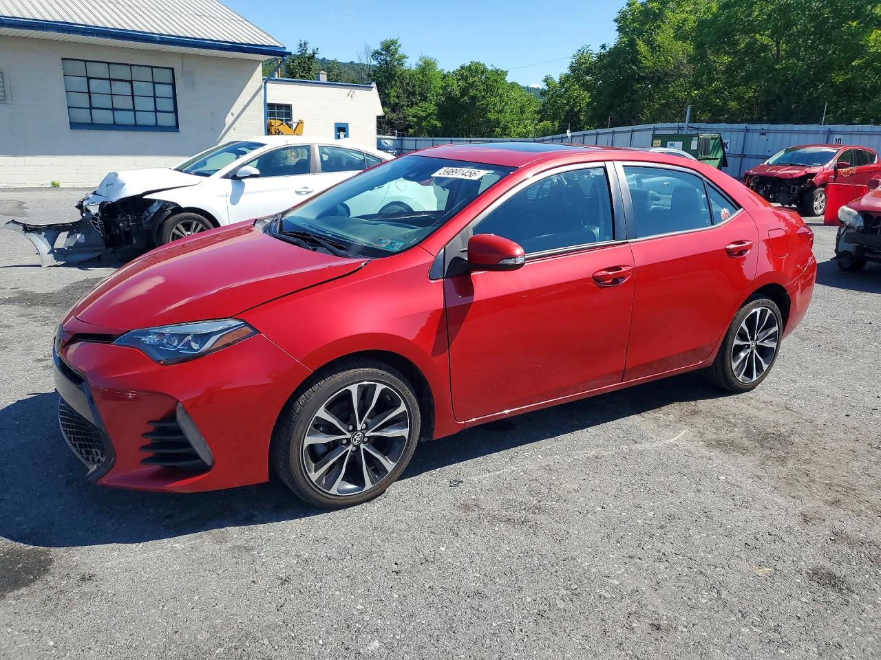 2019 TOYOTA COROLLA