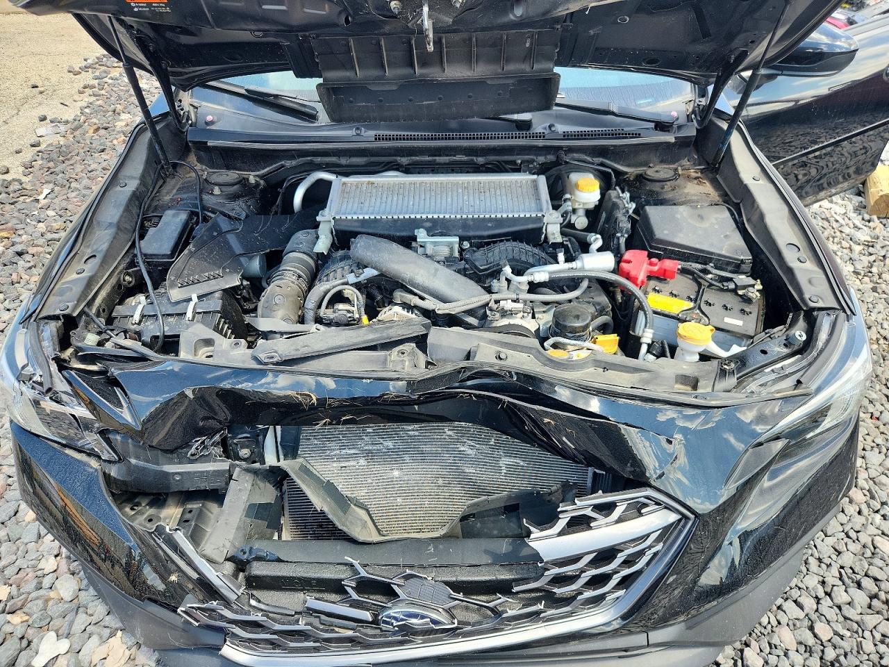 2023 SUBARU WRX