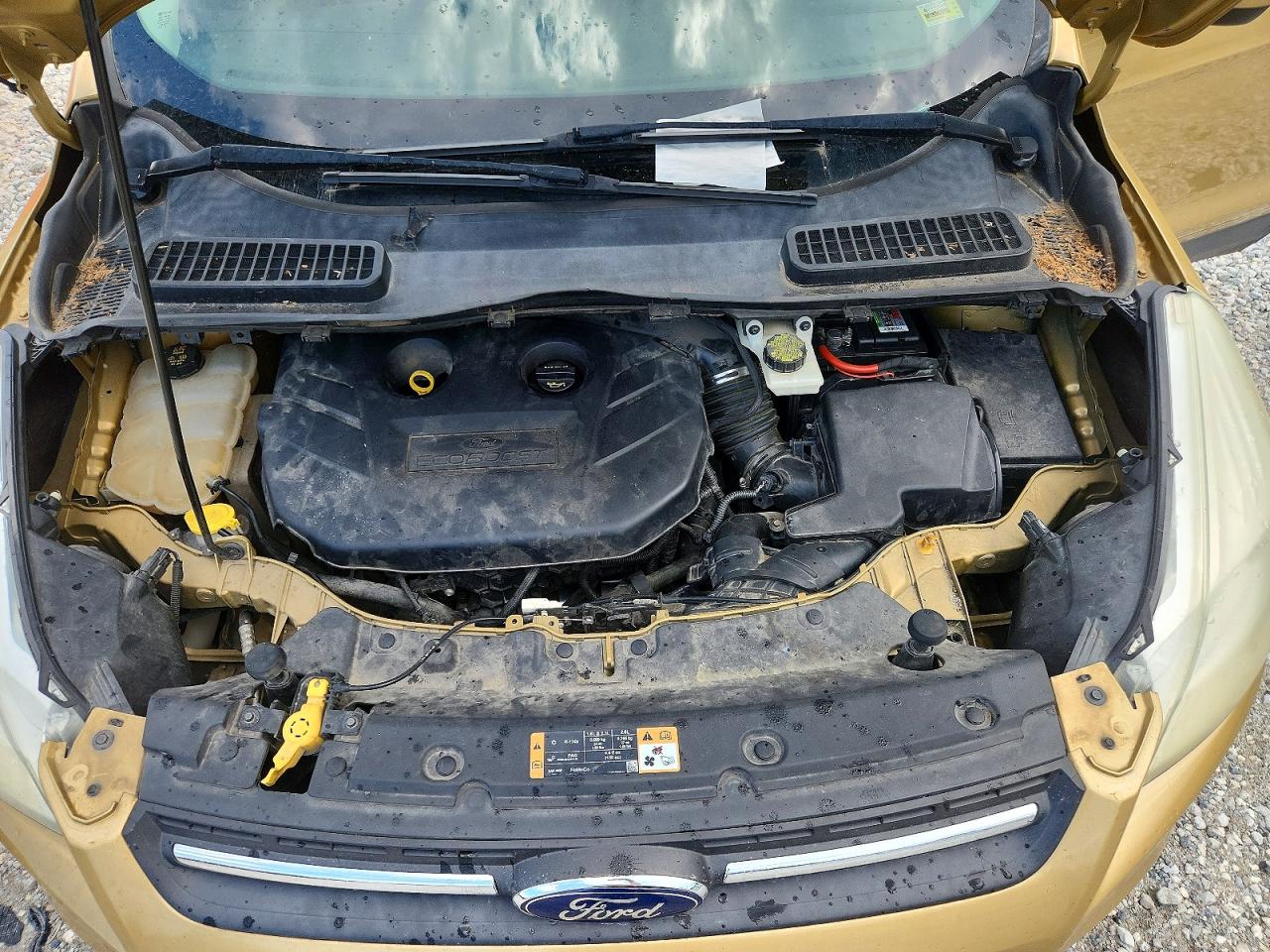 2014 FORD ESCAPE