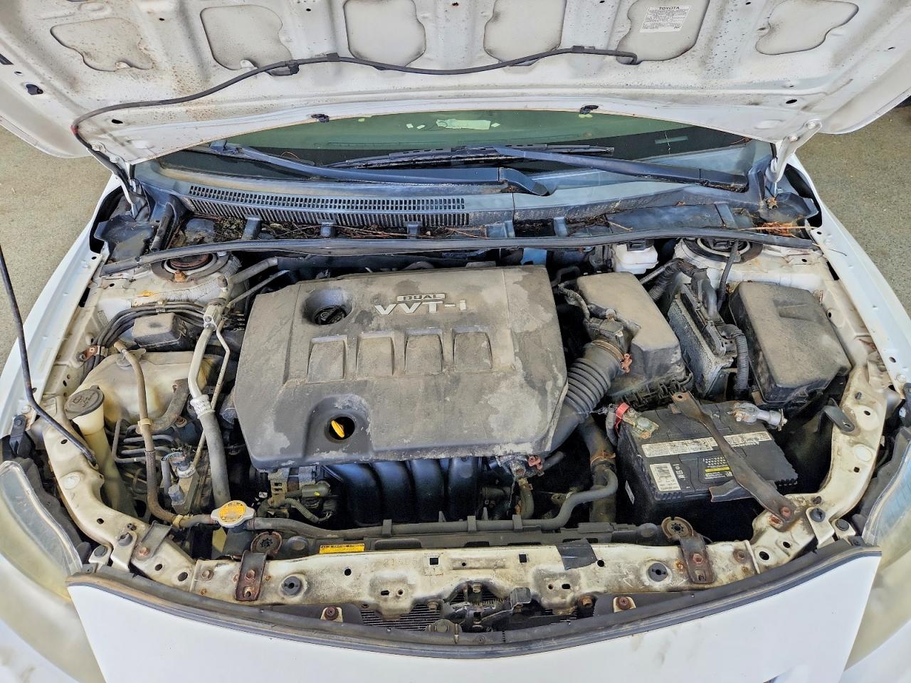 2010 TOYOTA COROLLA