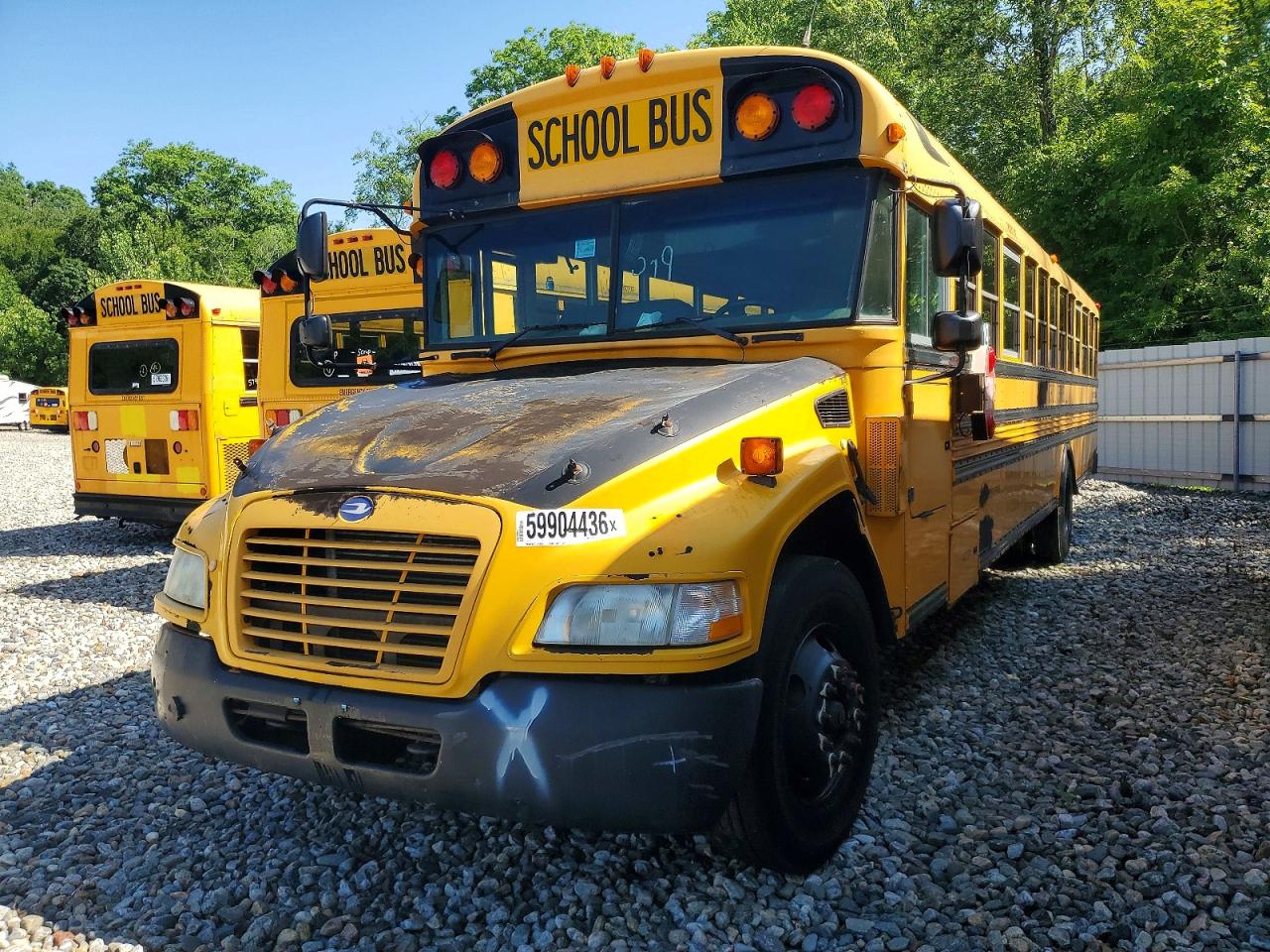 2013 BLUEBIRD ALL Models