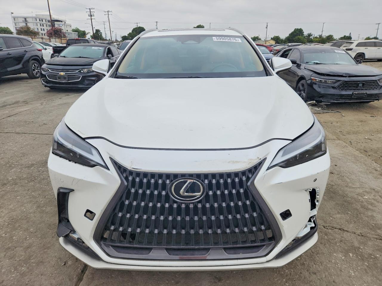2024 LEXUS NX