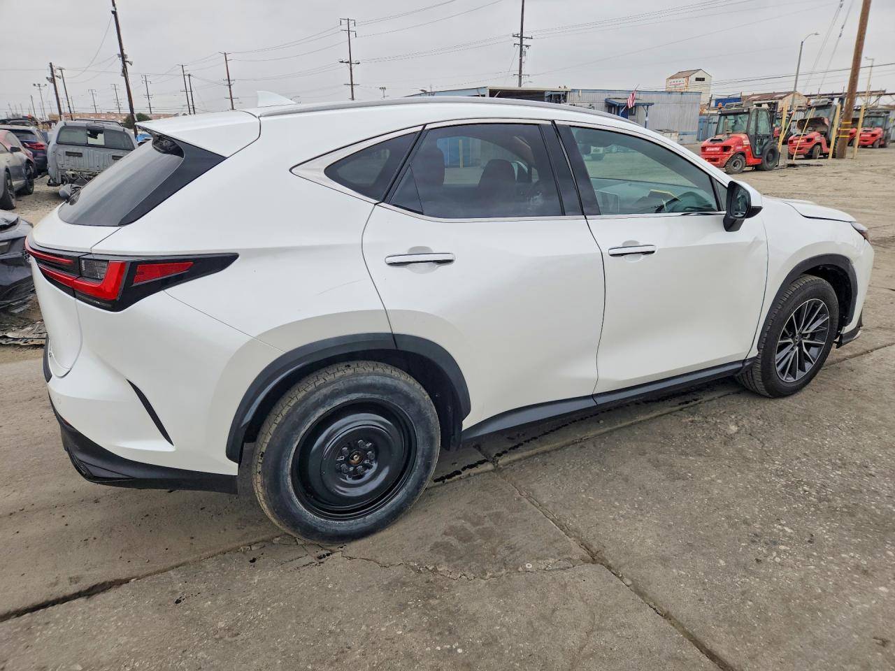 2024 LEXUS NX