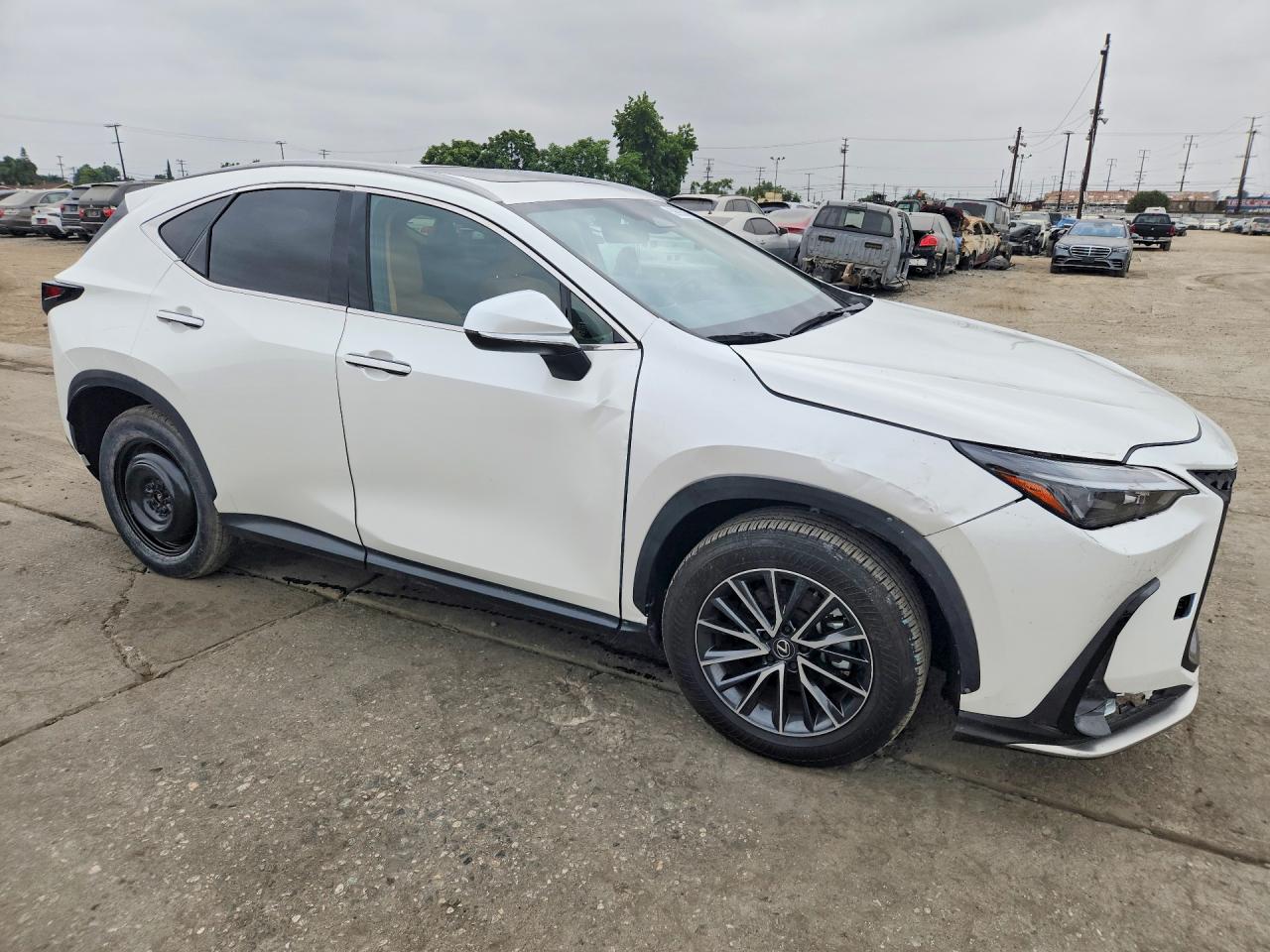 2024 LEXUS NX