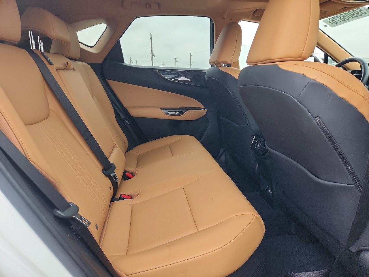 2024 LEXUS NX