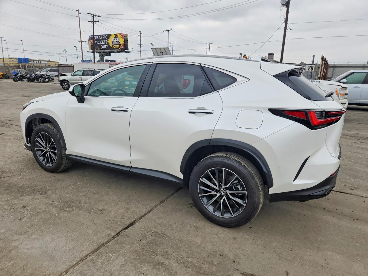 2024 LEXUS NX